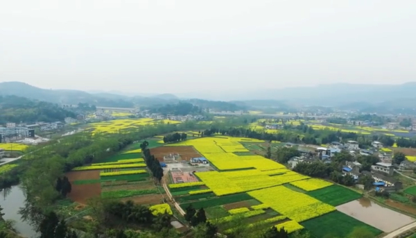 1061亿立方米！四川中江探明千亿方大气田 油气田勘测难度有多大？