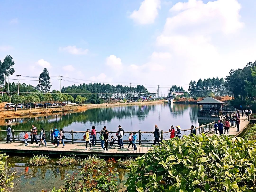 現有各類型農家樂30餘家,其中有三星級以上的有貓兒溝,佳佳林,柚香園