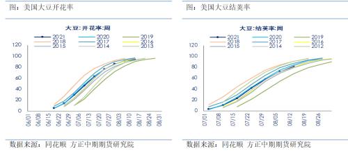 豆粕期货期权：基本面短期偏多 积极做多豆粕期货