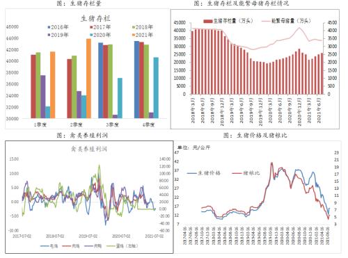 豆粕期货期权：基本面短期偏多 积极做多豆粕期货