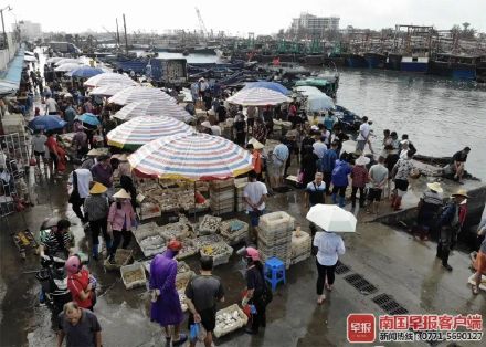 今日北海海鲜价格「北海开海海鲜价格」