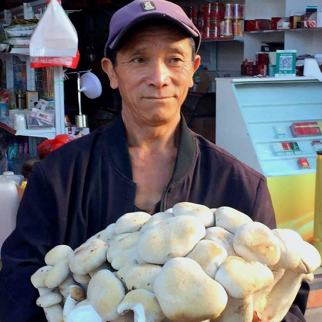 云南一村民发现21.7公斤野生菌王!8年前曾在同一地点采过9.