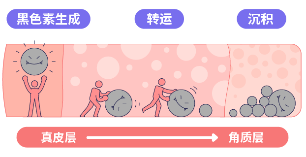 美白又抗老，原來悄悄變白的人用的是它