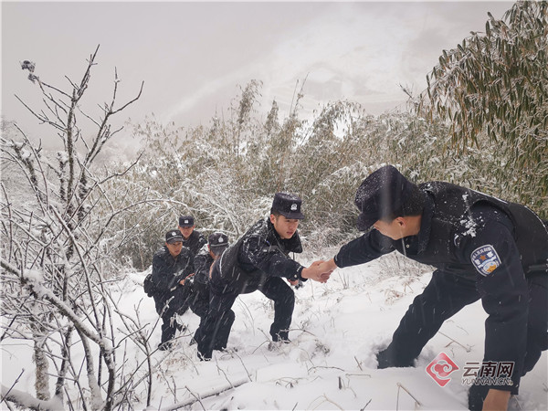 战疫高黎贡山：他们甘愿用此生无悔守望换世间万千繁华