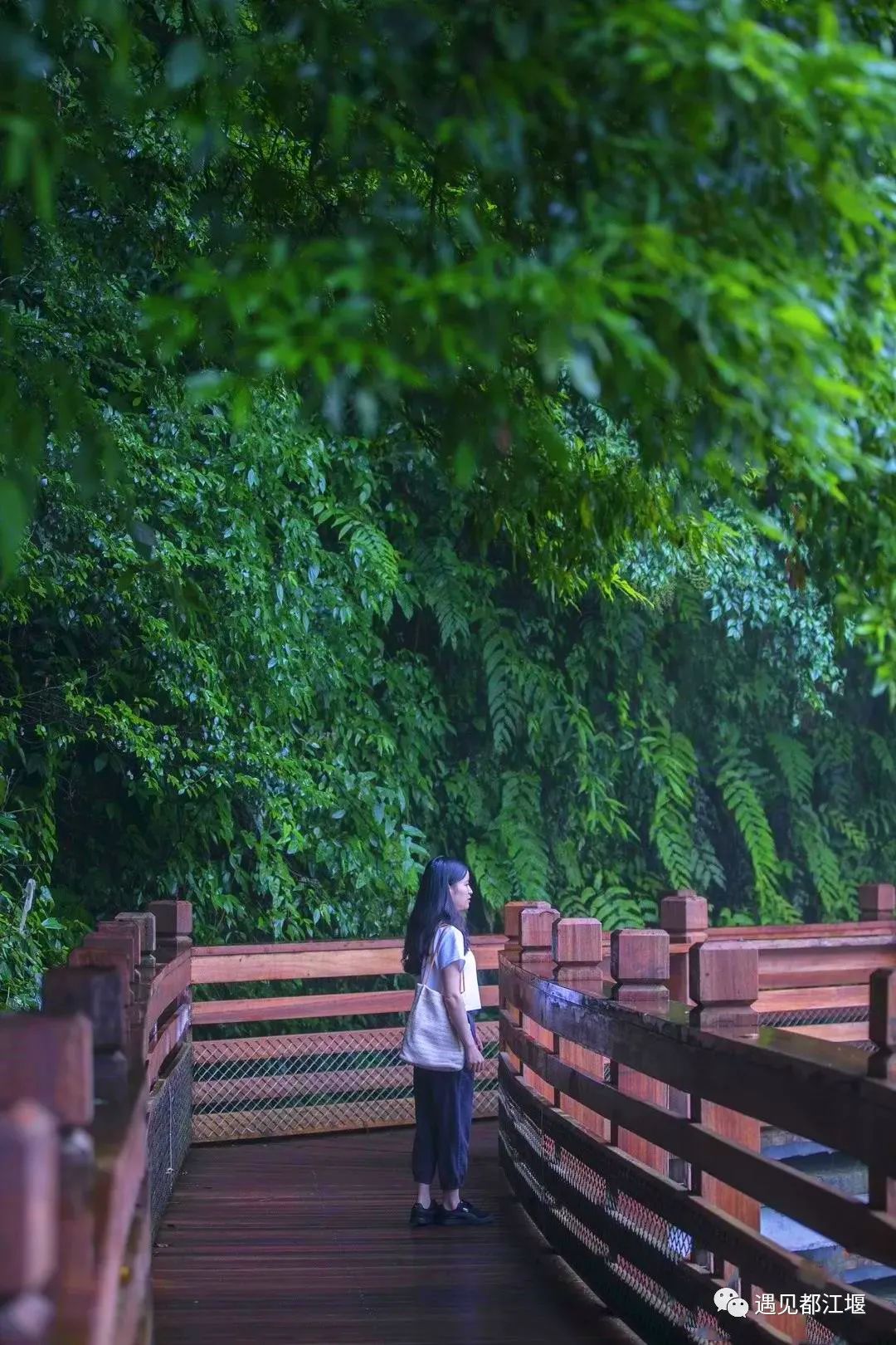 云雾起，山朦胧！都江堰雨雾笼罩下的绝美景色，太赞了～