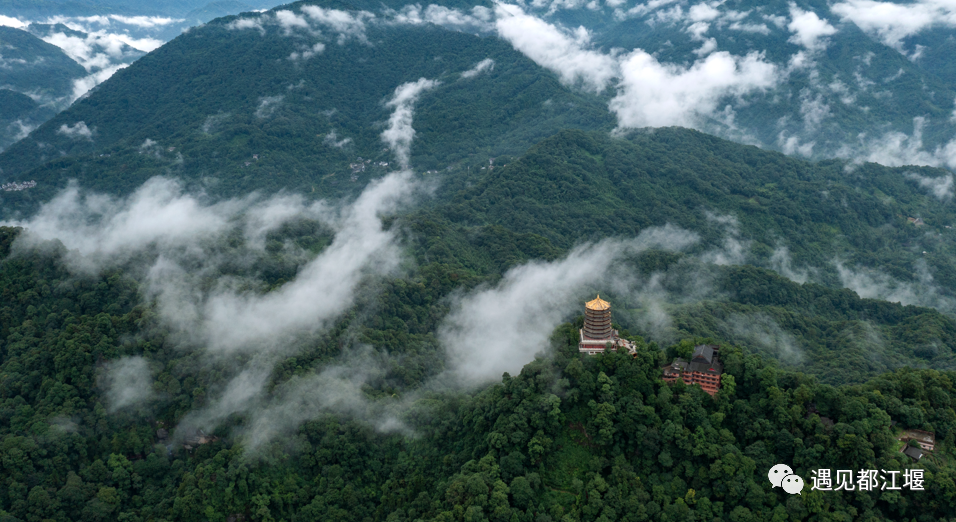 云雾起,山朦胧!都江堰雨雾笼罩下的绝美景色,太赞了