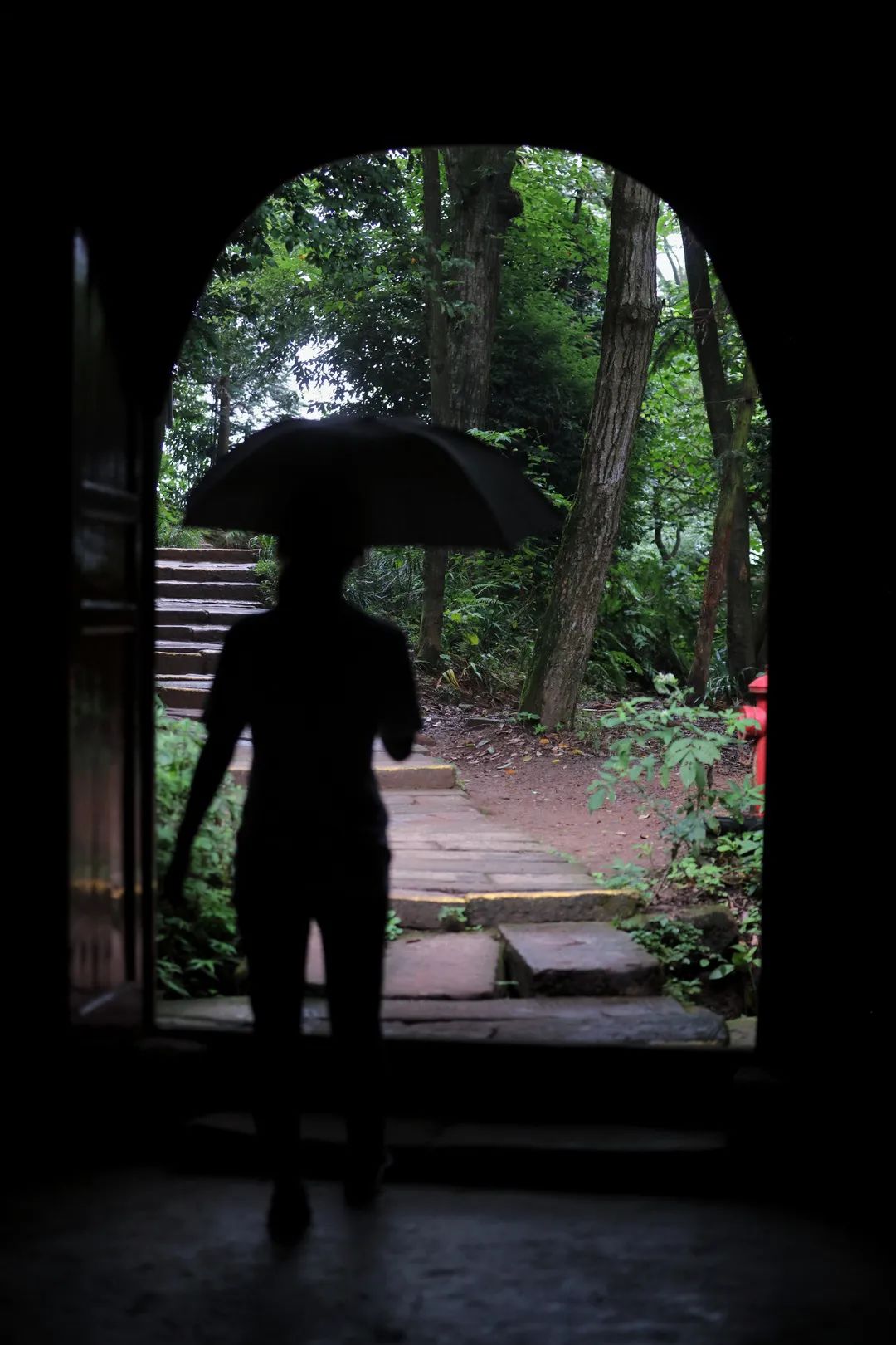 云雾起，山朦胧！都江堰雨雾笼罩下的绝美景色，太赞了～