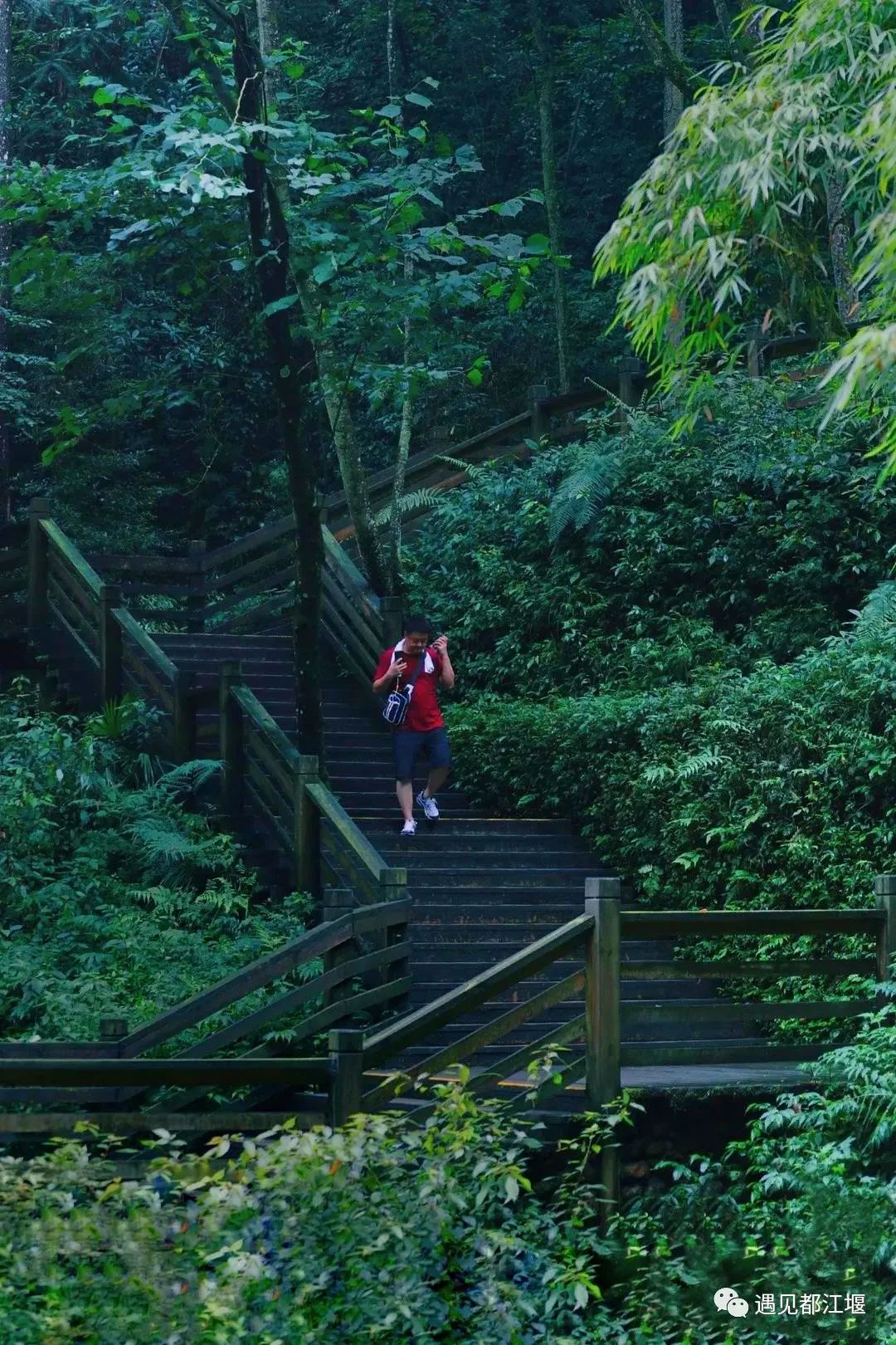 云雾起，山朦胧！都江堰雨雾笼罩下的绝美景色，太赞了～