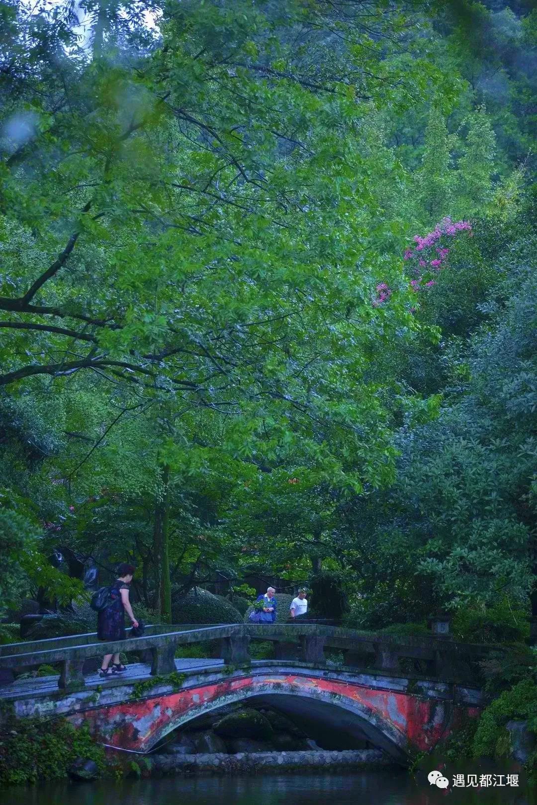 云雾起，山朦胧！都江堰雨雾笼罩下的绝美景色，太赞了～