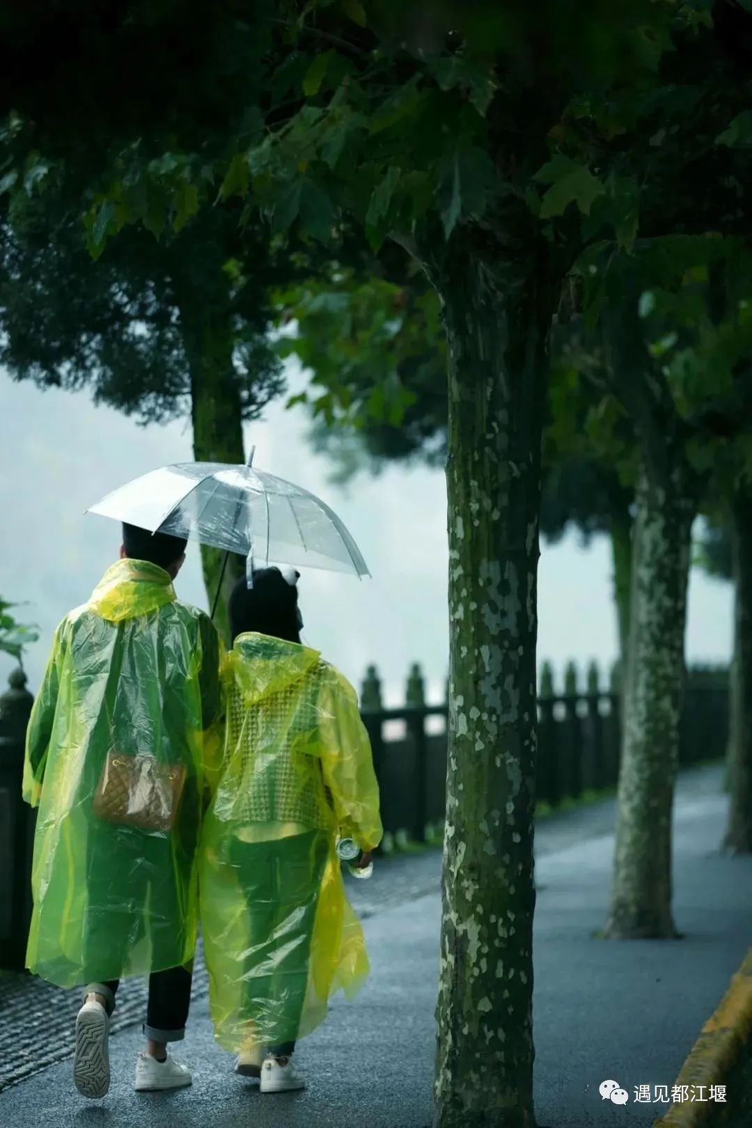 云雾起，山朦胧！都江堰雨雾笼罩下的绝美景色，太赞了～