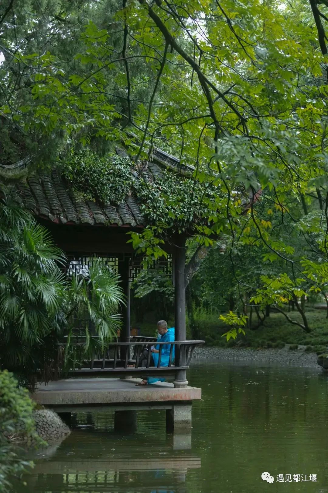 云雾起，山朦胧！都江堰雨雾笼罩下的绝美景色，太赞了～