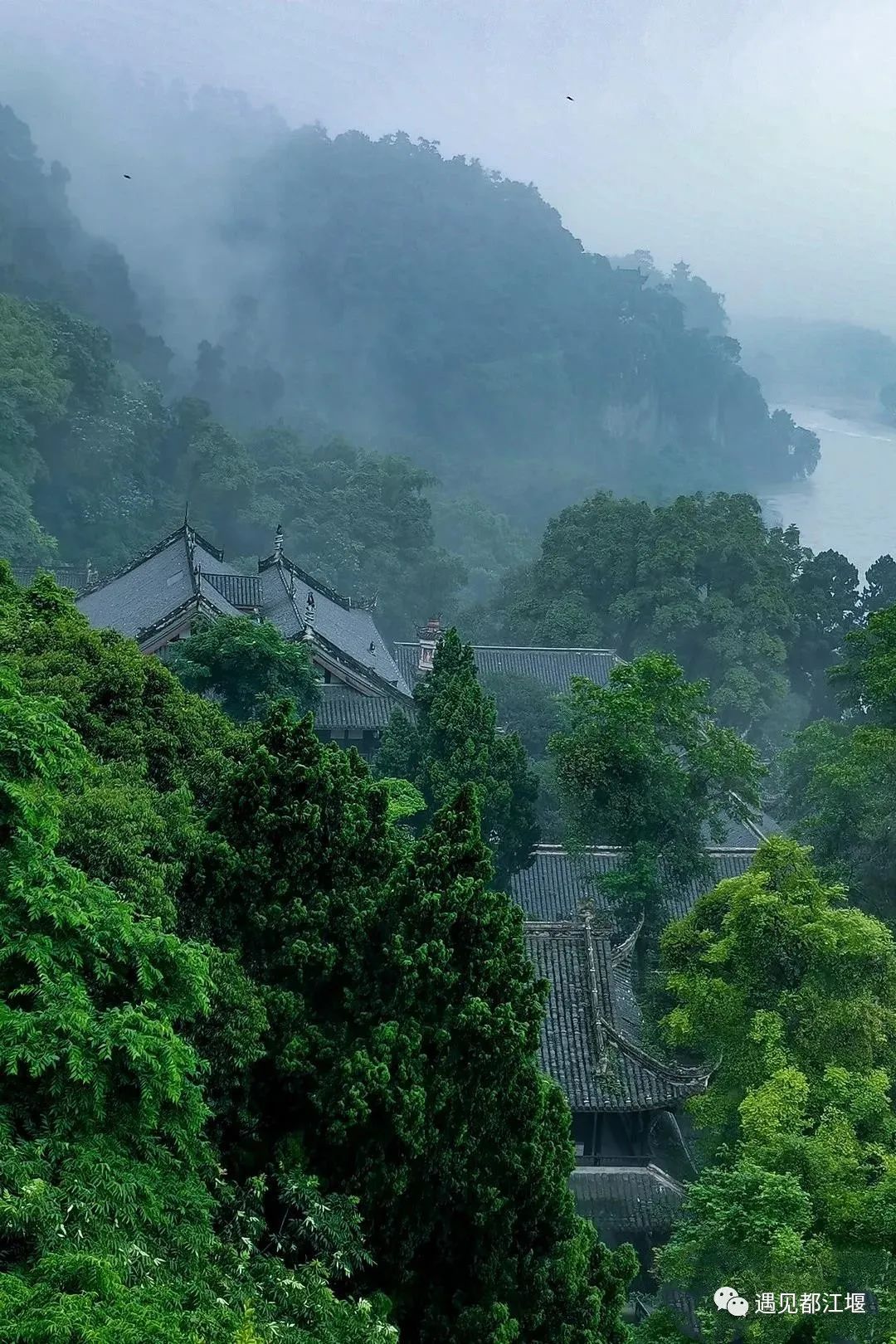 云雾起，山朦胧！都江堰雨雾笼罩下的绝美景色，太赞了～