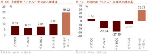 专精特新“小巨人”是什么、怎么样、如何选