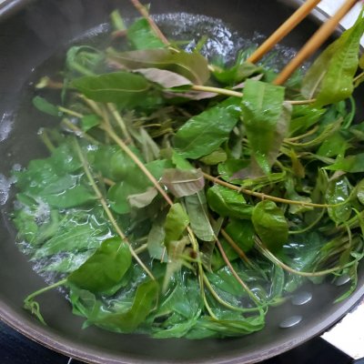 香椿芽炒鸡蛋（香椿芽炒鸡蛋会中毒吗）