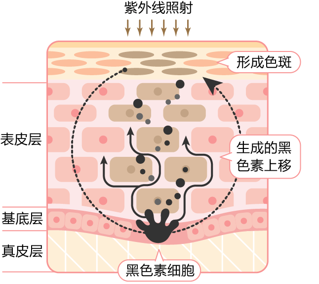 夏天晒成渐变色？这招教你白回来