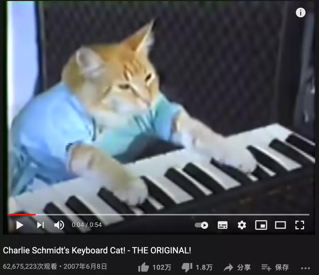 视频消费增长点：除了萌，宠物类内容还有哪些魔力？