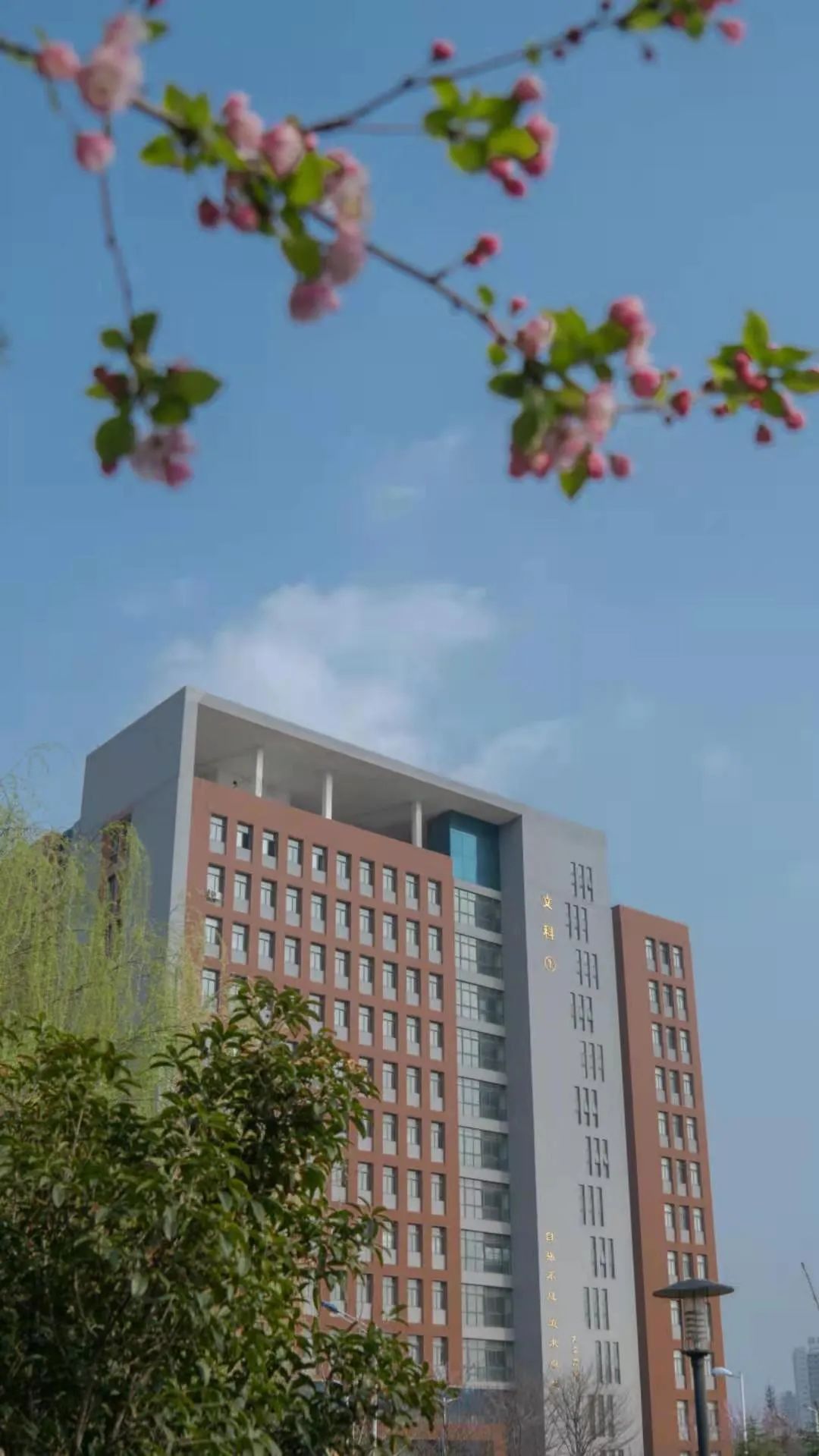 河南理工大学校园图片,河南理工大学校园招聘会 - 业奇网