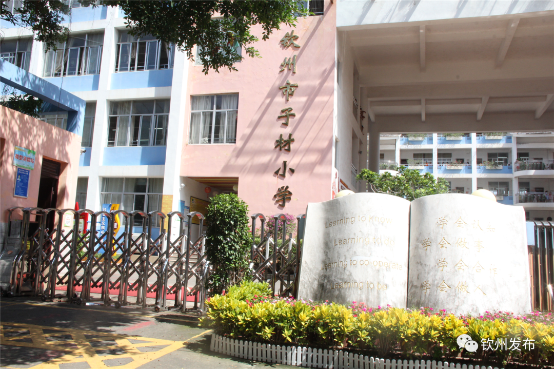 网眼看教育｜了解一下？钦州中小学生午托服务