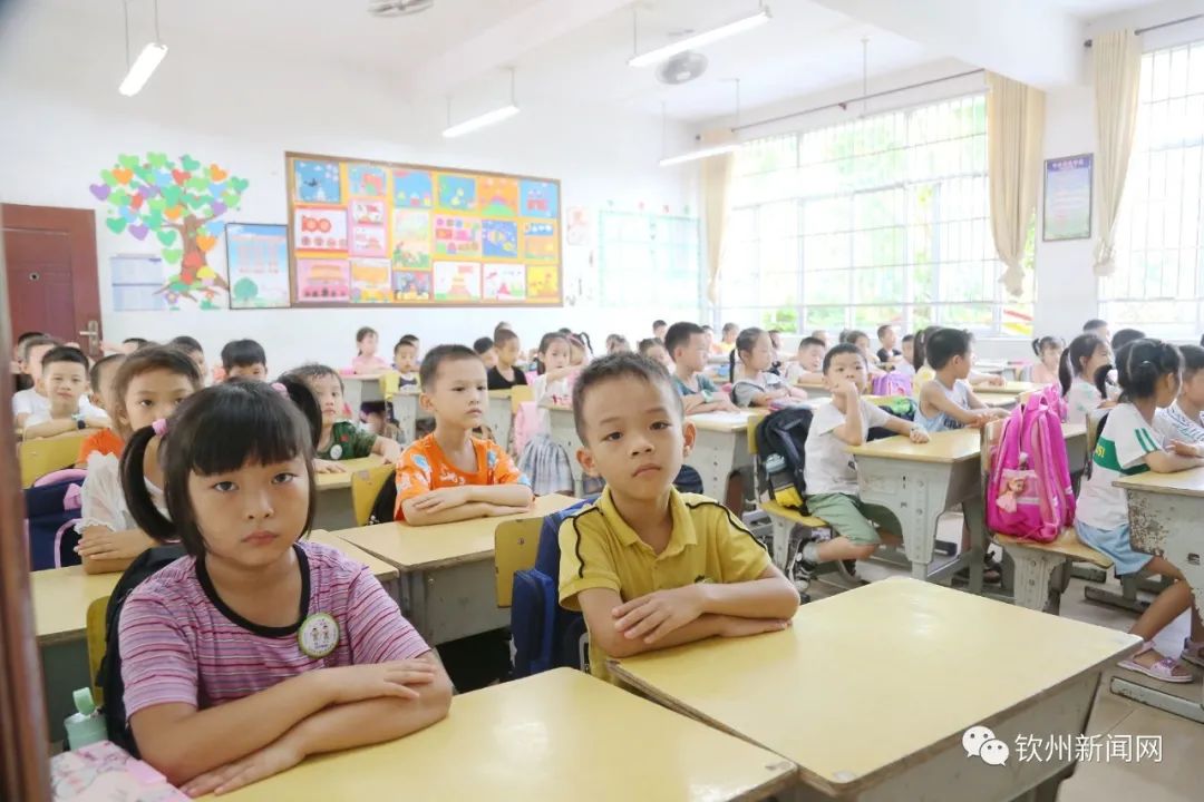 网眼看教育｜了解一下？钦州中小学生午托服务