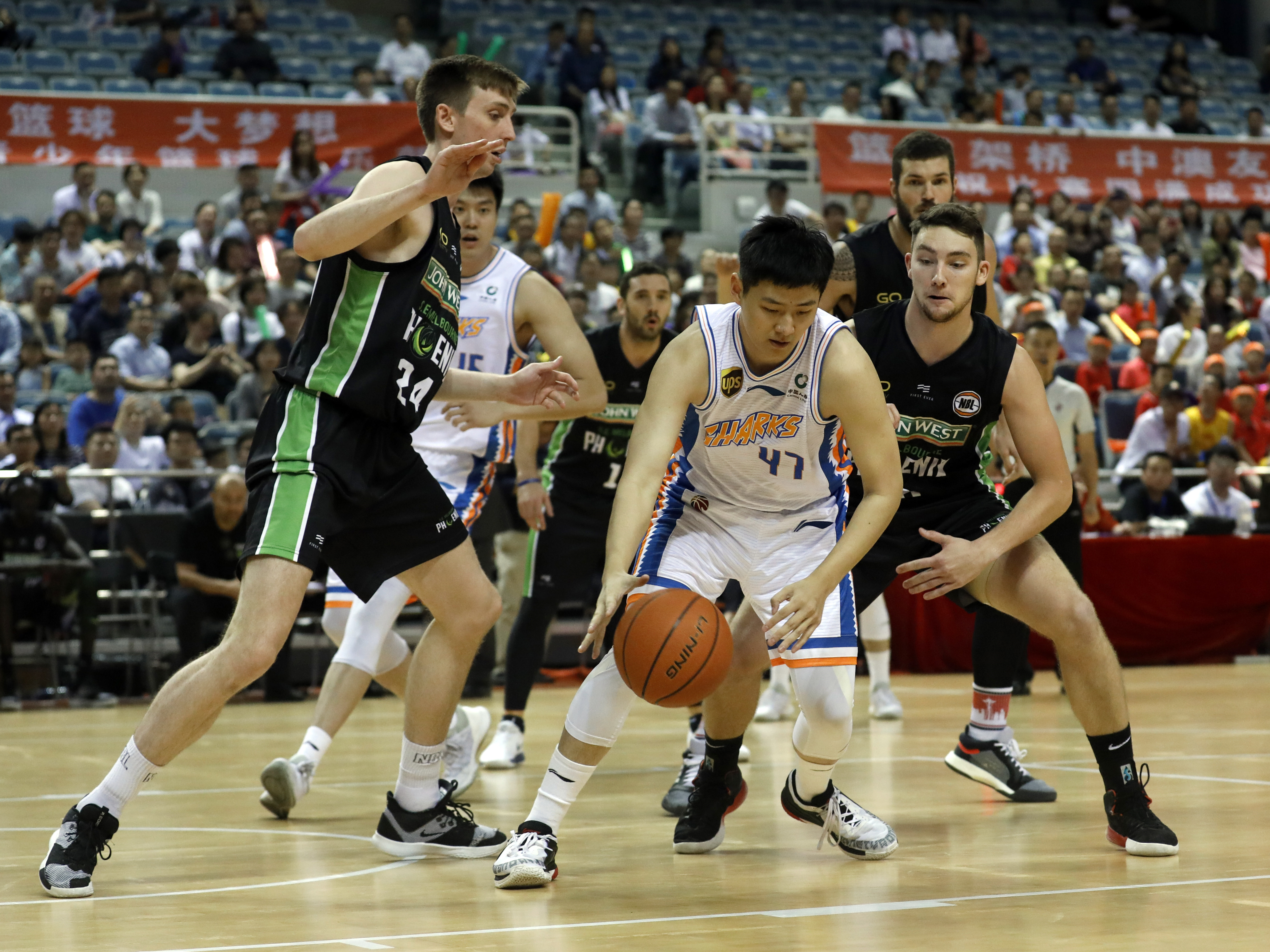 凤凰队哪些人打过nba(东南墨尔本凤凰队简介：沃尔持有股份，曾与CBA球队交战)