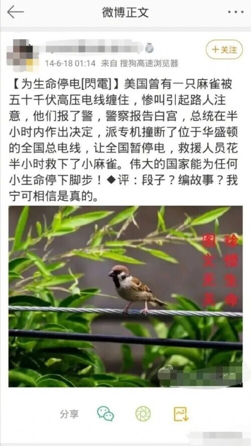 啪啪打脸！经典公知爽文共赏，这些国家自己都不敢这么吹