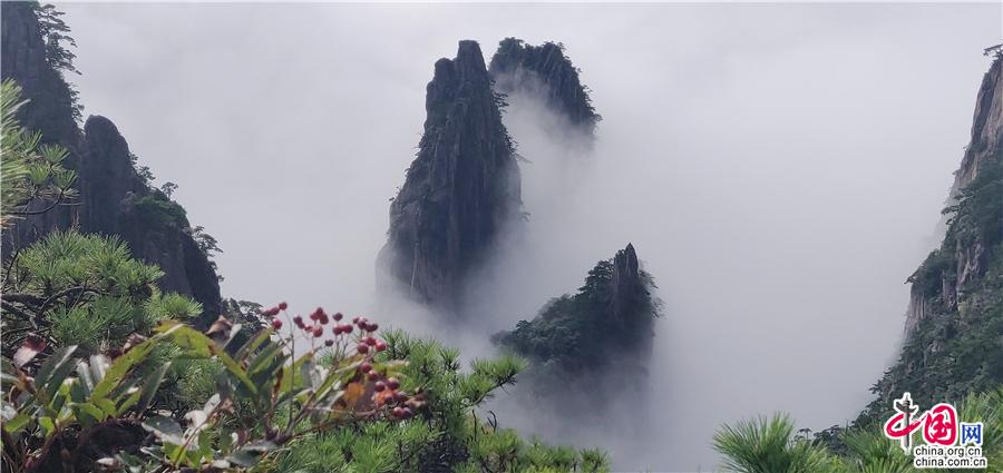 烟波bo浩渺是什么（烟波bo浩渺是什么描写）-大da连信息网