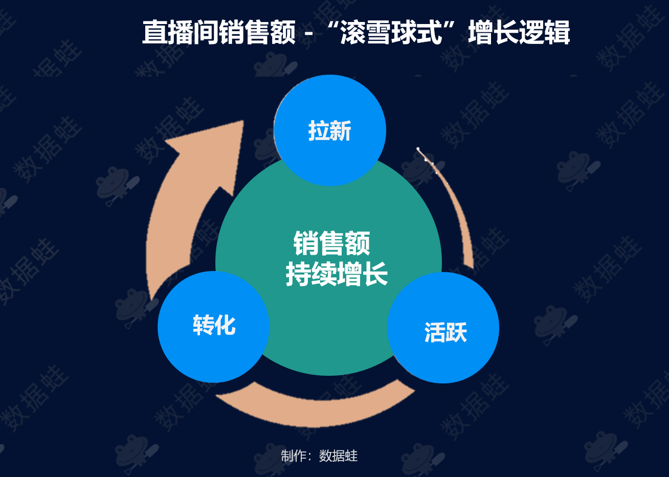 抖音电商数据分析案例