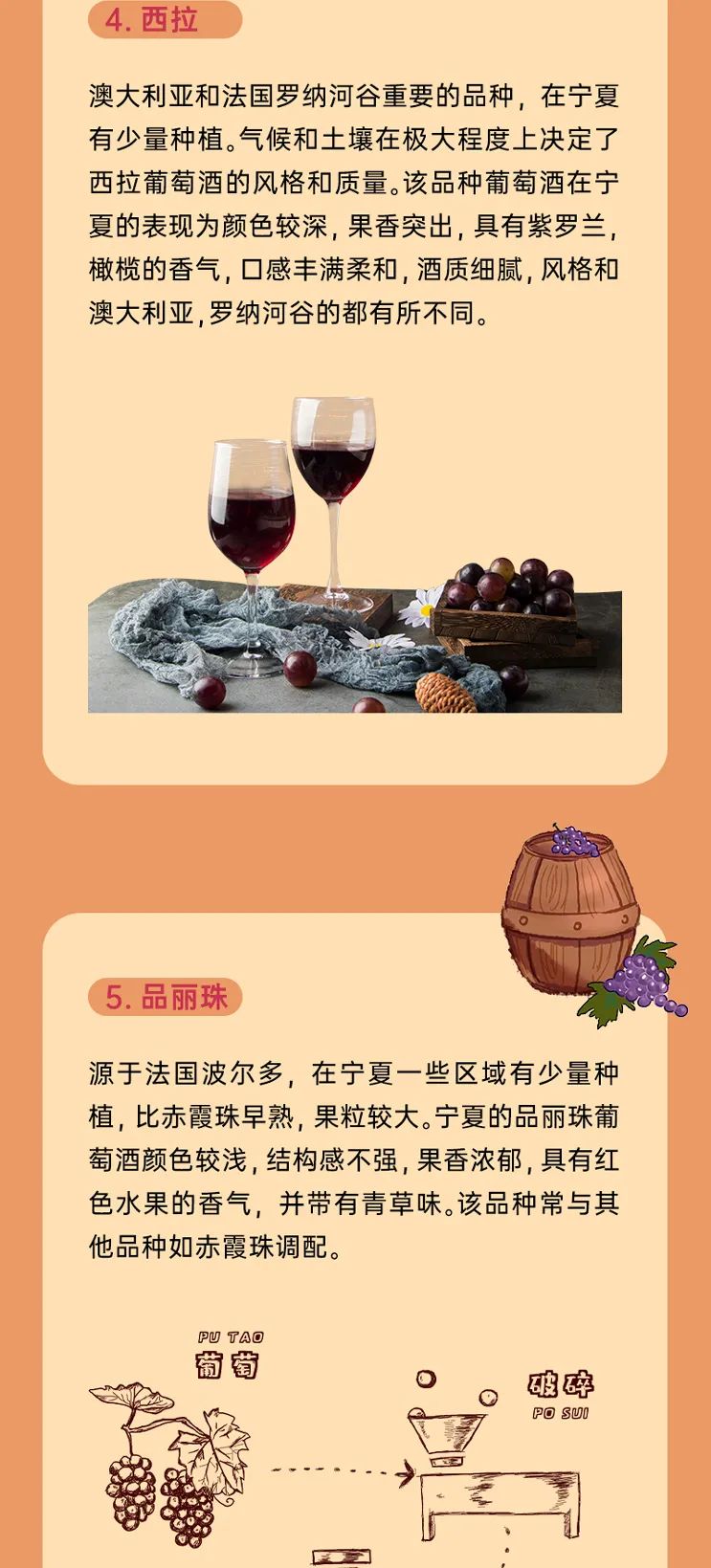 科普 || 宁夏最常见的红葡萄酒品种有哪些？