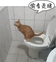 今日息县生蚝价格（今日韶关生蚝价格）