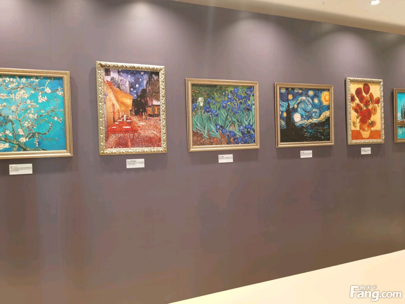 昆山玉山热门楼盘项目现场传来一批新照片，请查收