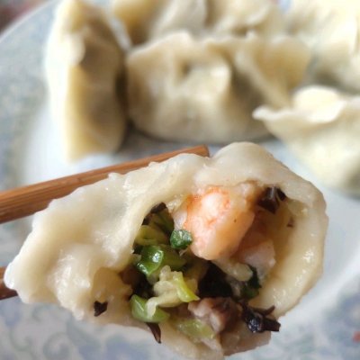 #橄享国民味 热烹更美味#包饺子（包含煎饺做法，馅料调法）