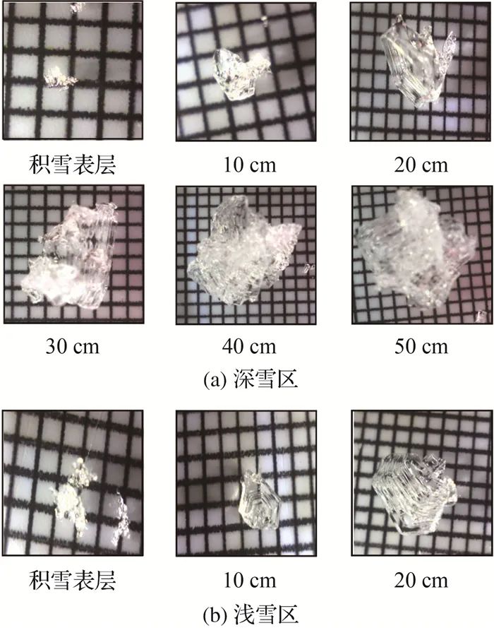 测绘学报 | 宋依娜：干雪深度反演的同极化相位差模型