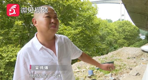 残疾人车,残疾人车图片