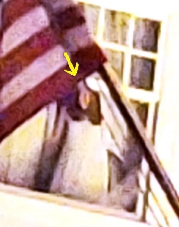 窗子里有个女人？揭开美国闹鬼酒店真相