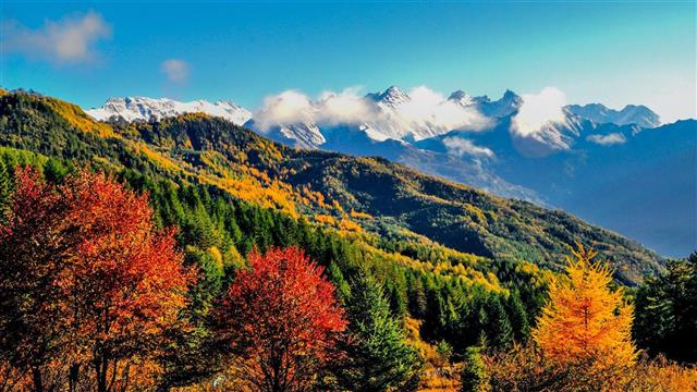 四川文旅来鄂推介自驾游发布十条金秋最美彩林线路