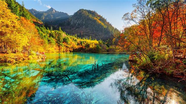 四川文旅来鄂推介自驾游发布十条金秋最美彩林线路