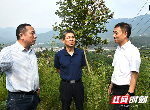邵陽市政協(xié)：把花亭子村建設(shè)成鄉(xiāng)村振興示范點
