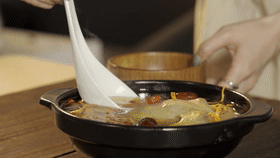 白鴿湯,白鴿湯放什么材料煲湯