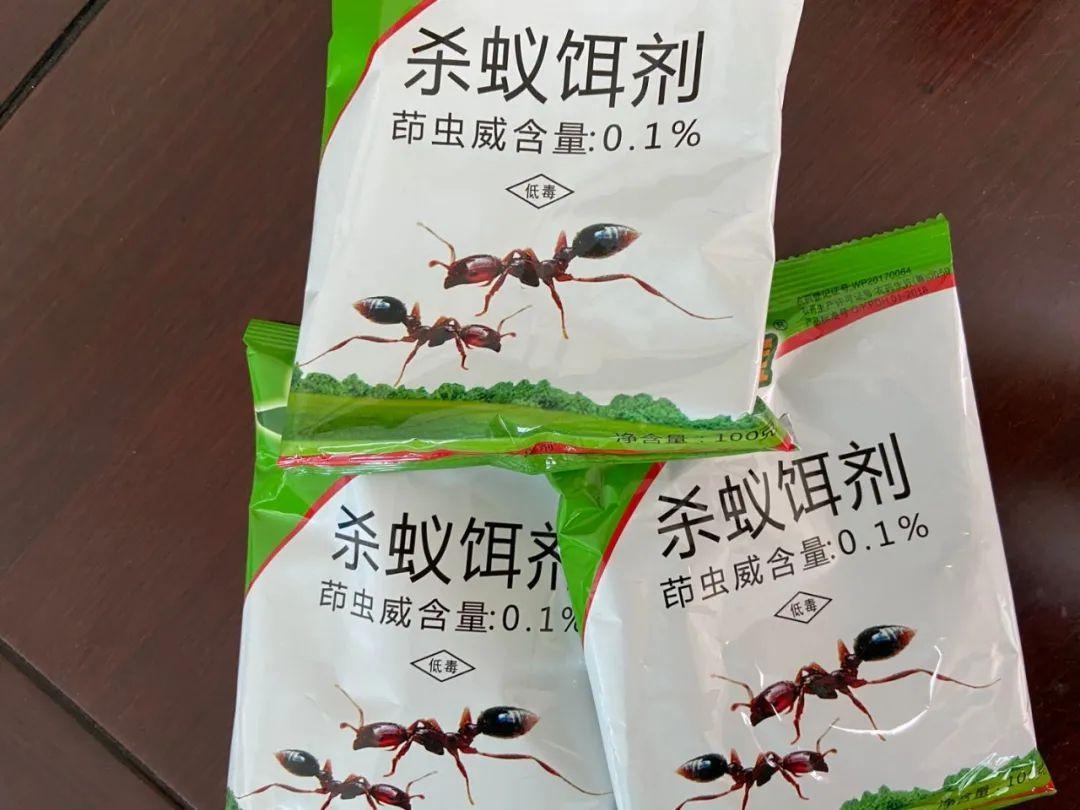 红蚂蚁咬人后症状图片（教你几种有效的治疗方法）