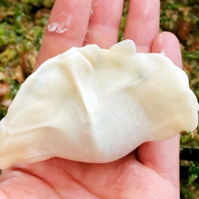 茴香苗餃子,茴香苗餃子餡怎么調好吃