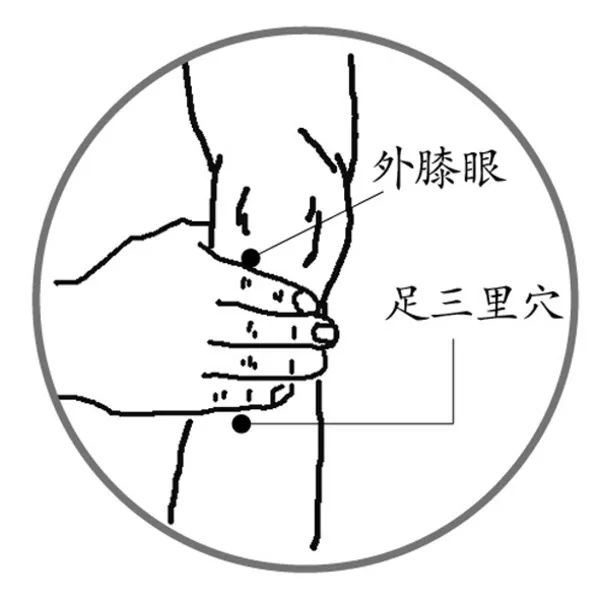养生不花钱！常按3大穴，养肝补肾、气血同补、安神助眠