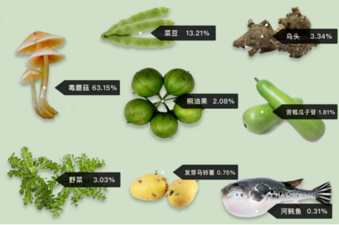 如何用数据进行叙事？这些创意作品呈现足够惊艳