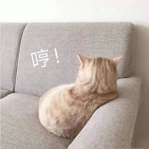 深圳车管所考试预约,深圳车管所考试预约登录平台登录