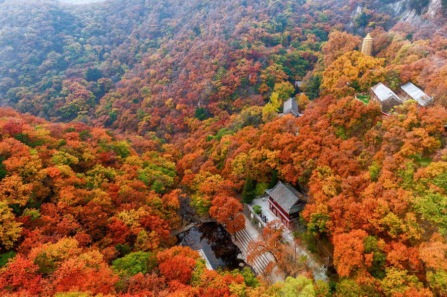 十一游盘山 旅游攻略来啦