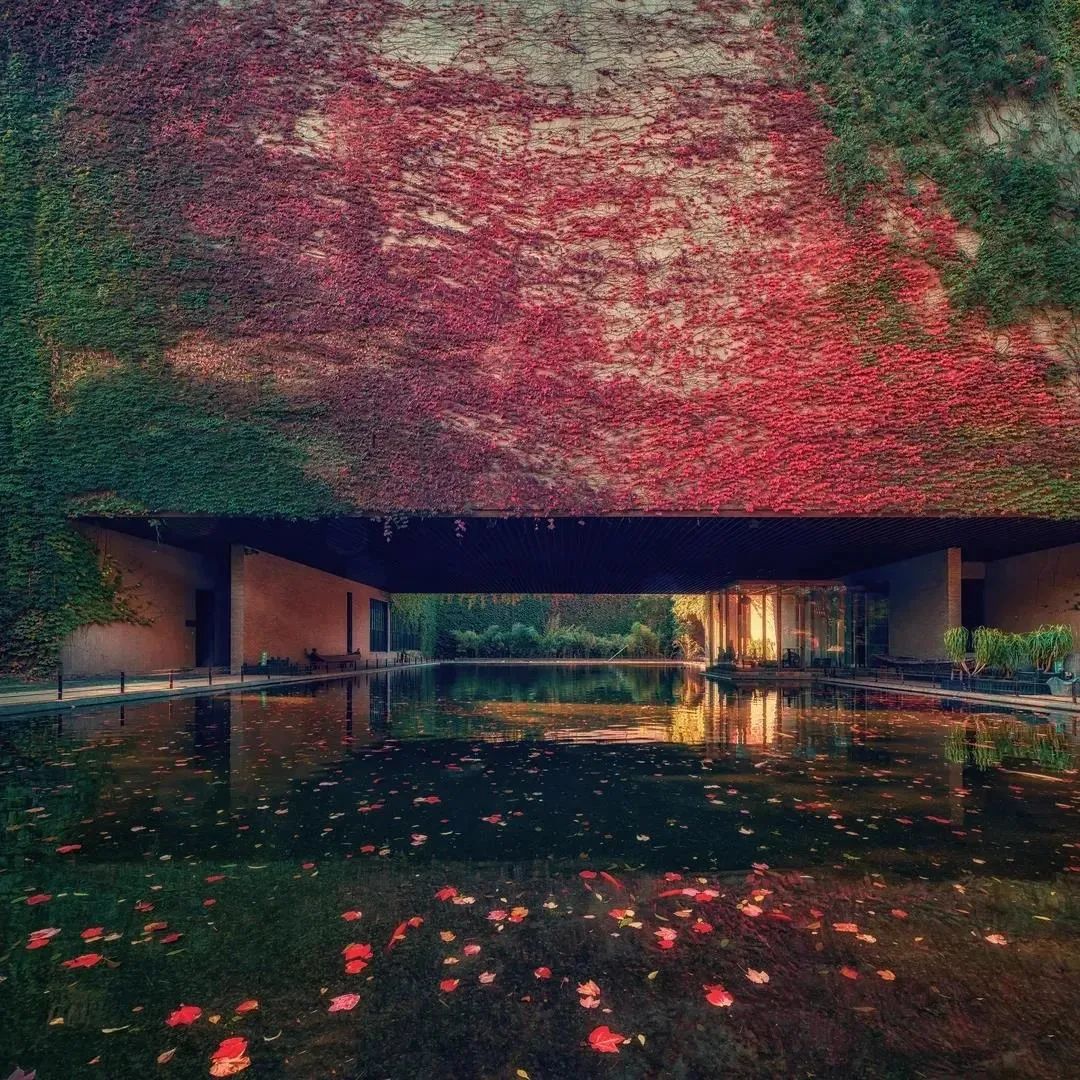 一年换一次，天大校庆专属头像壁纸来啦！