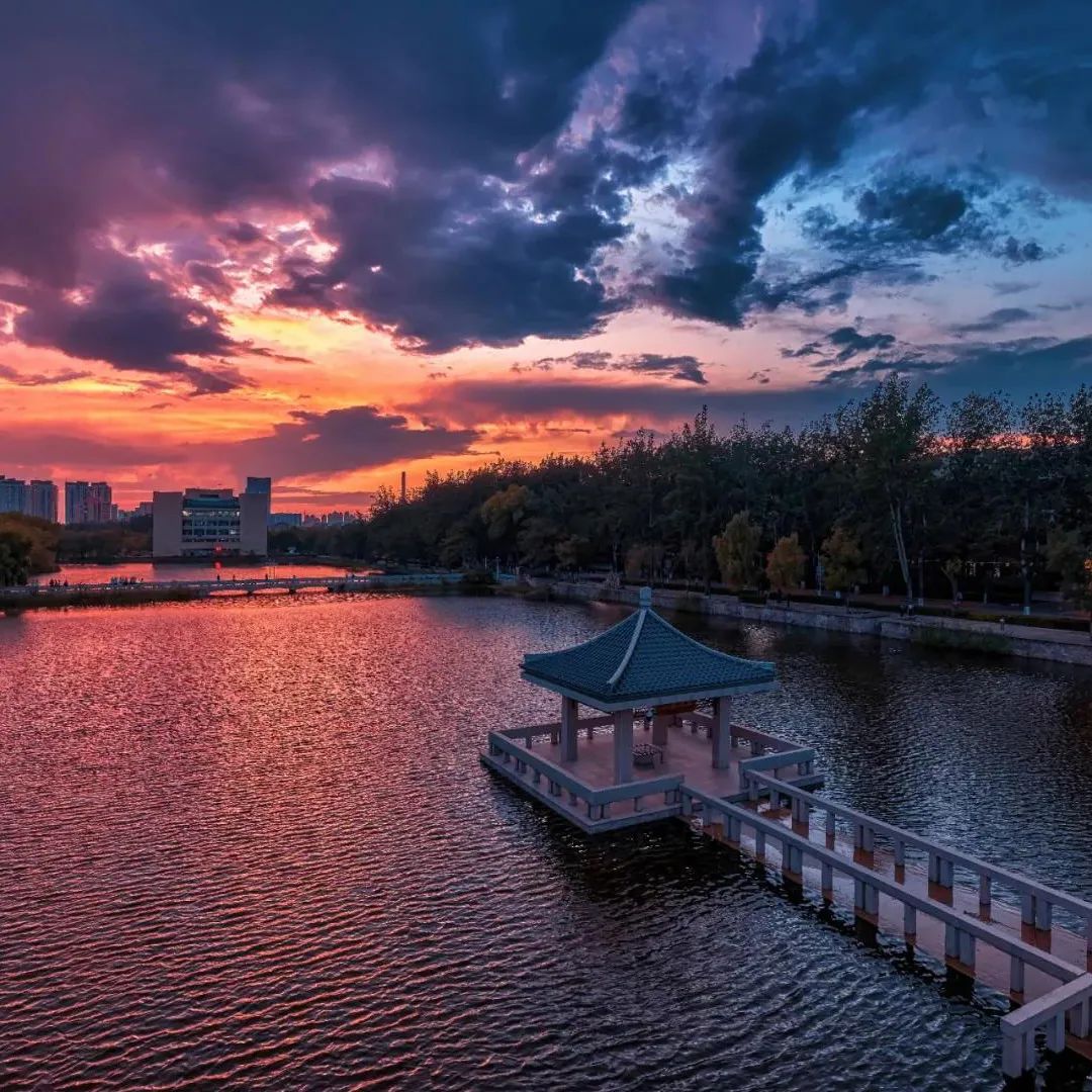 一年换一次，天大校庆专属头像壁纸来啦！