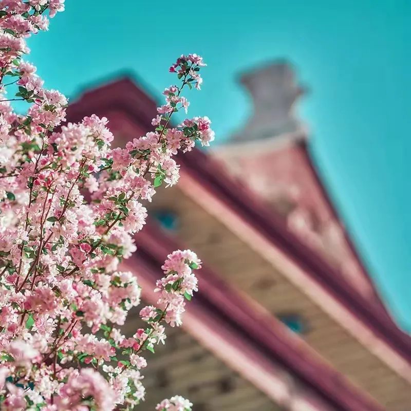 一年换一次，天大校庆专属头像壁纸来啦！