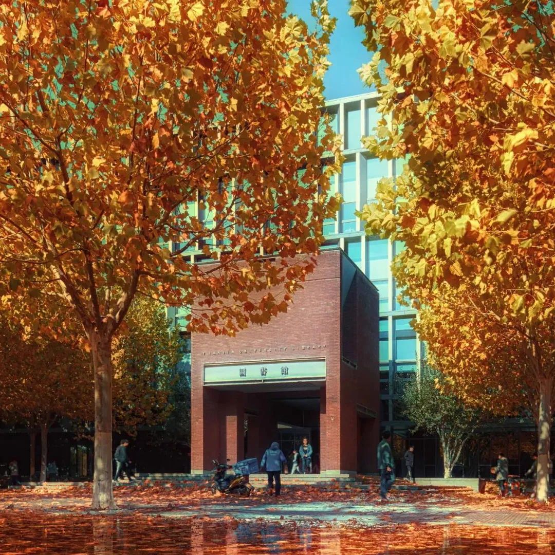 一年换一次，天大校庆专属头像壁纸来啦！