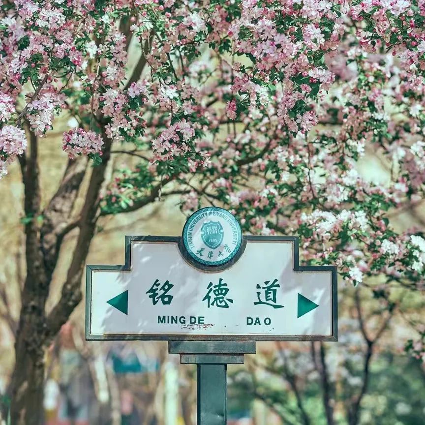 一年换一次，天大校庆专属头像壁纸来啦！