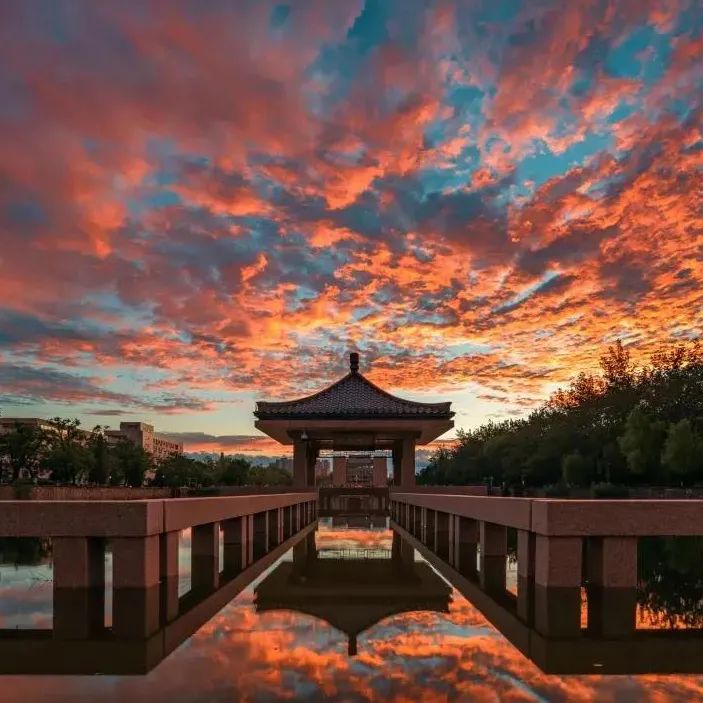 一年换一次，天大校庆专属头像壁纸来啦！